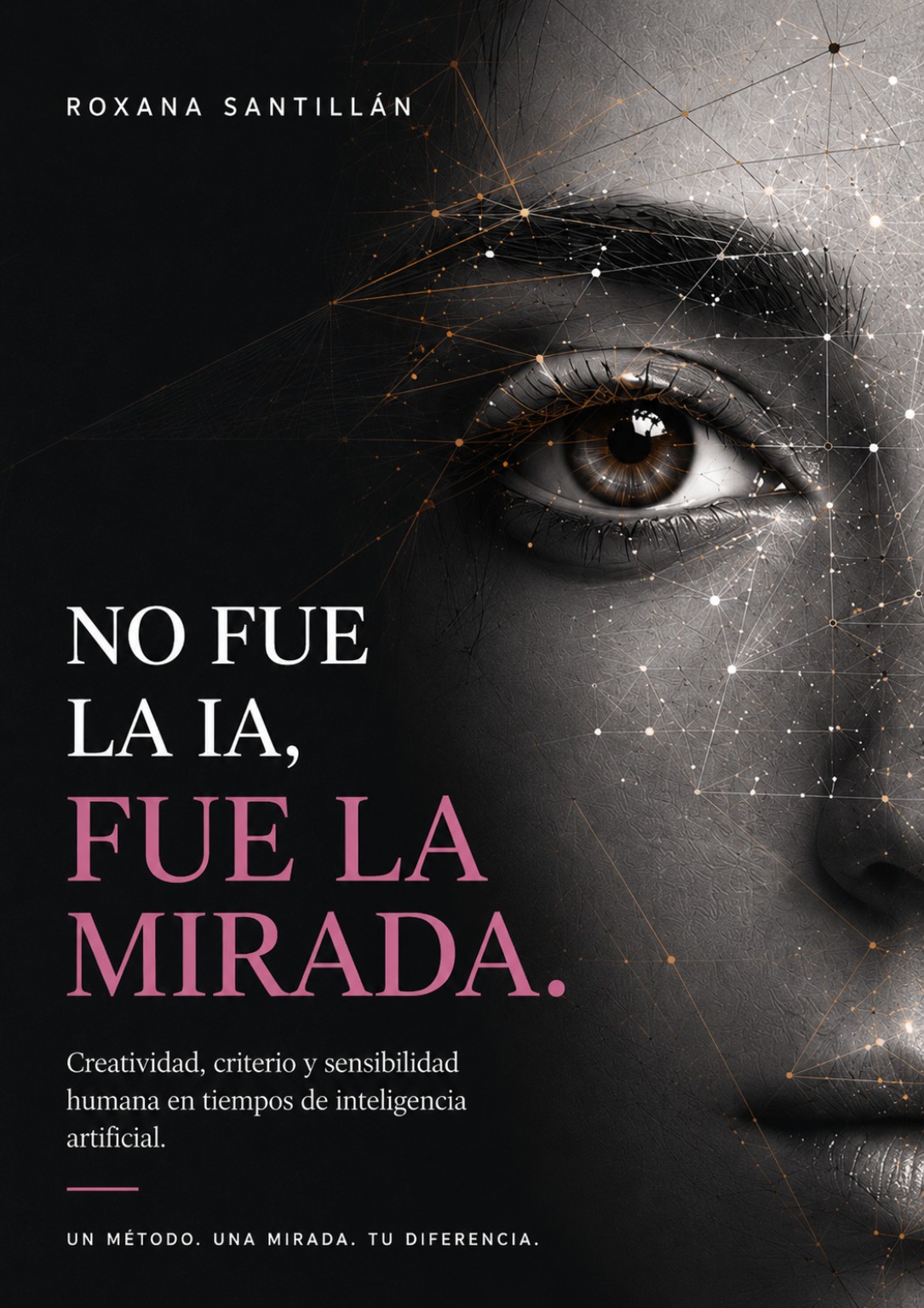 Portada oficial del libro No fue la IA, fue la mirada, de Roxana Santillán