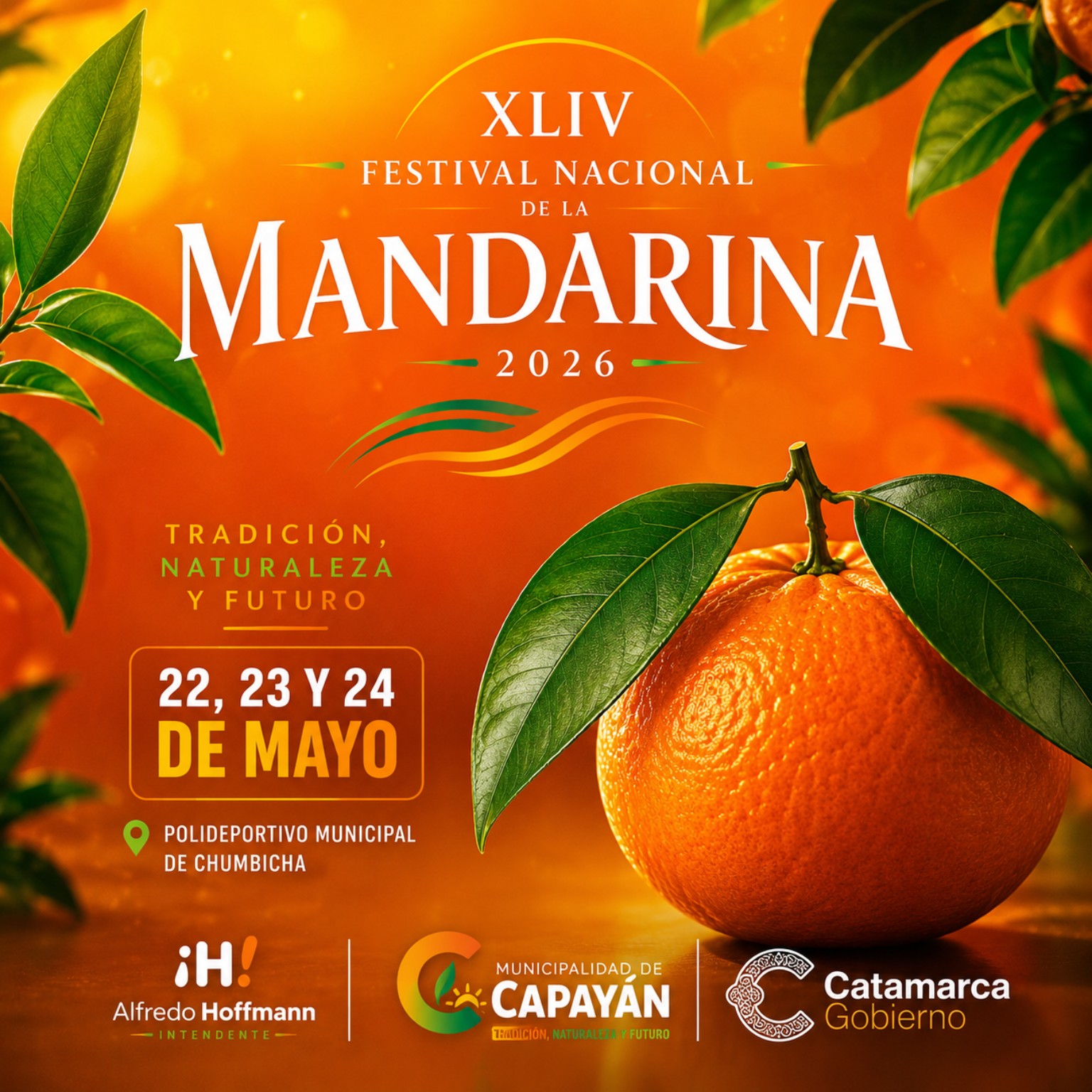 Afiche del Festival Nacional de la Mandarina 2026